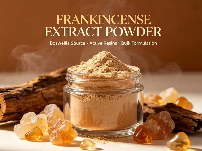 What Extraction Factors Influence Bulk Boswellia Serrata Extract Quality?